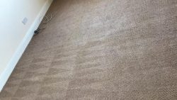 Carpet Cleaning Tyrrelstown