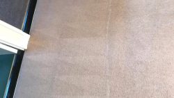 Carpet Cleaning Sutton