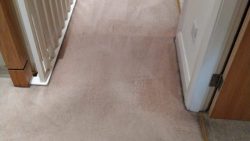 Carpet Cleaning Shankill