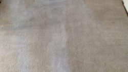 Carpet Cleaning Ringsend