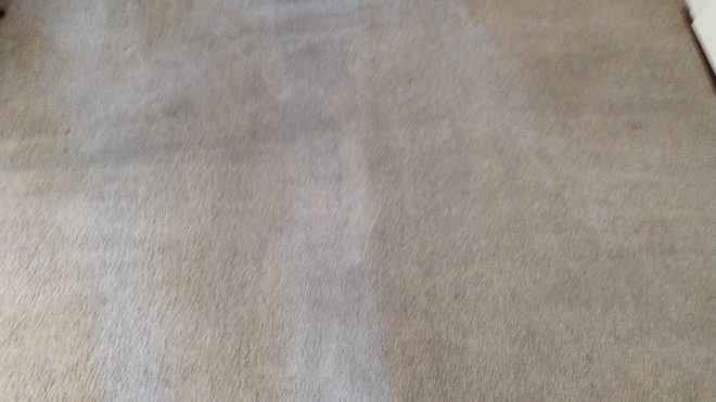 Carpet Cleaning Ringsend