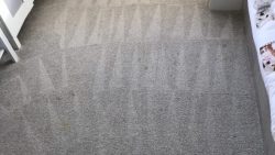 Carpet Cleaning Kildare