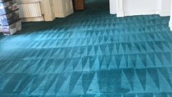 Carpet Cleaning Cabra