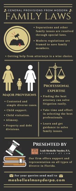 Experienced Lawyer for Your Family Needs