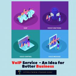 VoIP Service in Chicago – An Idea for Better Business Growth