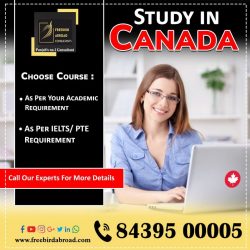 Assured Canada Study Visa. With Overall 6 Bands in IELTS/ / PTE?