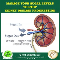 Ayurvedic Treatment for Diabetes