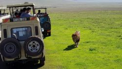 7 Days Tanzania Safari