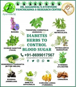 Herbs to Control Blood Sugar