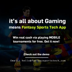 Choosing a Custom Fantasy Sports App Development is Crucial