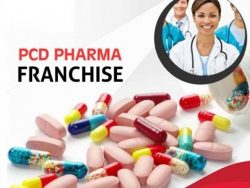 Top PCD Pharma Company in Ahmedabad – Zedip Formulations