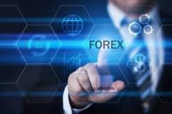 FXGM ZA | Forex Broker