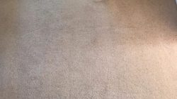 Carpet Cleaning Foxrock