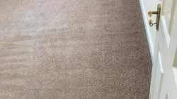 Carpet Cleaning Dublin 17