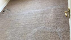 Carpet Cleaning Dublin 13