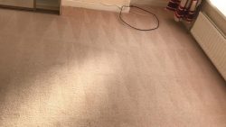 Carpet Cleaning Dublin 4