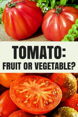 Are Tomatoes Fruit or Vegetable? | John Deschauer