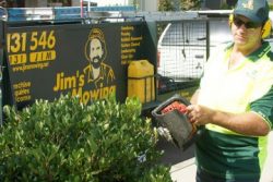 Get Timely Lawn Maintenance and Mowing Services