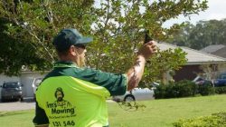 Best Lawn Mowing in Melton West