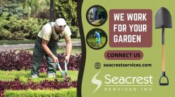 Gardening Work At your Frontyard