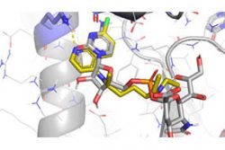 Molecular Docking – MedAI