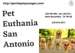 Pet Euthanasia San Antonio – Gentle Pet Passages