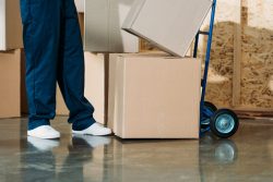 Movers in San Antonio: Blue Beaver Movers