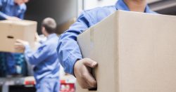 Things to Look for Before Hiring Local Movers in Your City