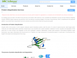 ubiquitination assay Protein Ubiquitination Services Protein Ubiquitination Ubiquitin services