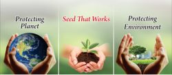 Best Seed Manufacturers Companies in India