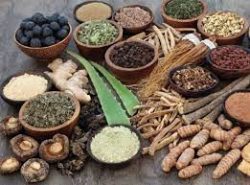 Ayurvedic Medicine Online In India