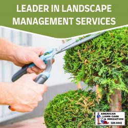 Effective Landscaping Designs and Installations