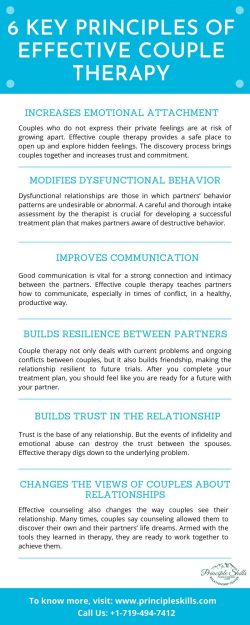 6 Key Principles Of Effective Couple Therapy