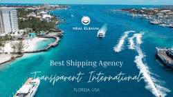 Neal Elbaum- Transparent International- Shipping Professional