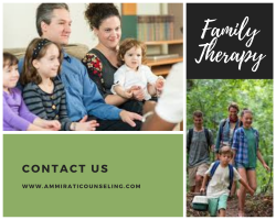 Hire The Best Family Therapy in North Chicagoland – Ammirati Counseling