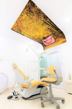 Orthodontist in Bhopal, Best Orthodontist in Bhopal