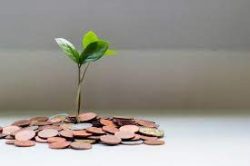 Use Fintech & Grow Your Business Savings – Ferhan Patel