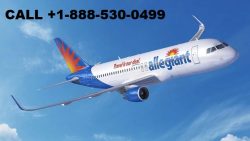 How do I talk to a person at Allegiant Air (+1-860-590-8822)