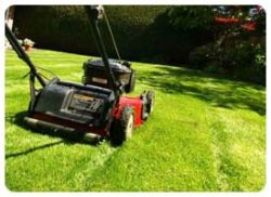 Best Price for Lawn Mowing Services in Perth