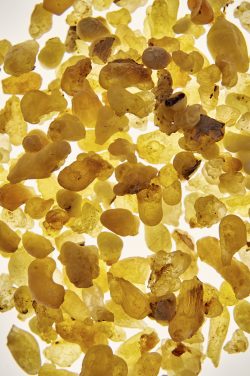 Order Luban Frankincense Resin | Digital Souqmazoon LLC