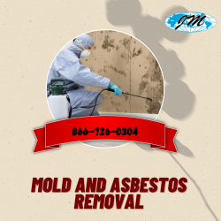 Best Class Mold Removal Sacramento Services