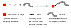 Peptide-small-molecule Conjugation – Creative Peptides