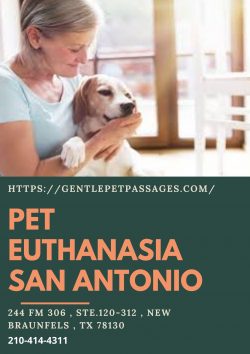 Pet Euthanasia San Antonio – Gentle Pet Passages