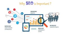 Top Qualified Reasons Why You Need SEO Services