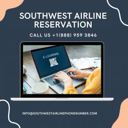 Cheap flight ticket with Southwset Airline