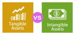 Tangible & Intangible Assets | Franklin I. Ogele