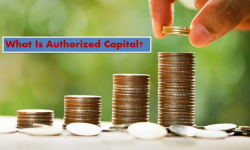 What Is Authorized Capital? | Franklin I. Ogele