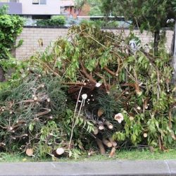 Furniture Disposal Wellington