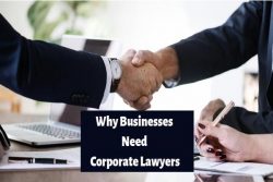 Why Business Needs Corporate Lawyer | Franklin I. Ogele