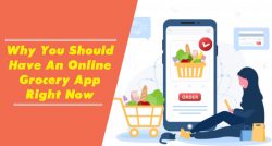 Get Best Online Grocery App Right Now from WEL Infoweb